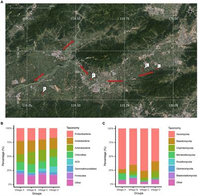 The influence of urban environmental effects on the orchard soil microbial community structure and function: a case study in Zhejiang, China